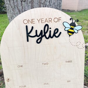 Een jaar fotobord, Fun to Bee verjaardagsdecor, Sweet to Bee one party, Bumble Bee 1e bijendag, Queen Bee eerste verjaardagsfeestje, afbeelding 3