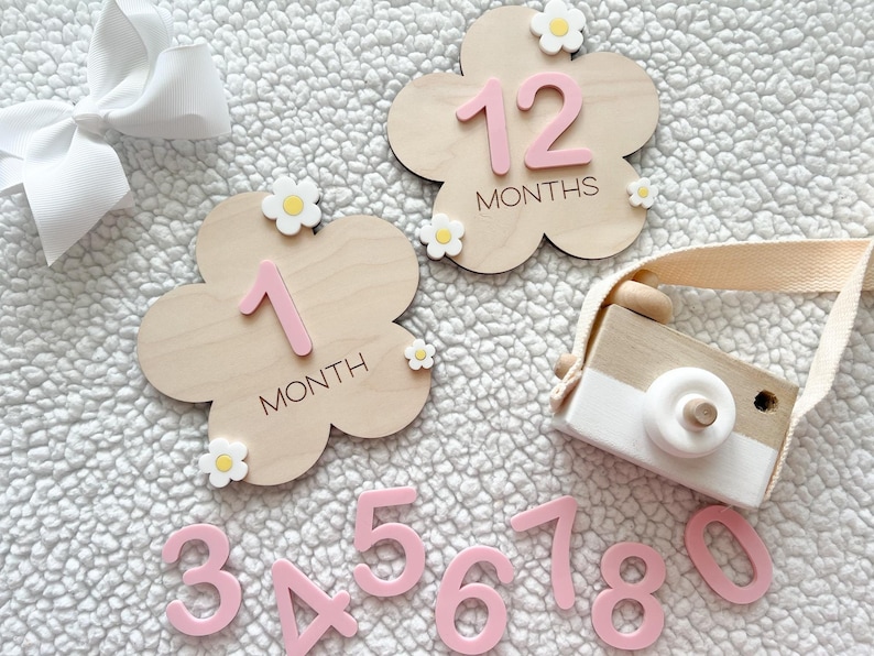 Baby Monthly Daisy Milestone Marker, Interchangeable Flower Monthly ...