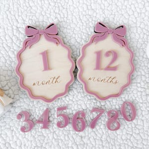 Plaques d'étape mensuelles pour bébé, cartes d'étapes importantes pour filles, accessoires photo mensuels pour bébé, plaques d'étapes importantes pour bébés, ensemble d'étapes importantes pour bébé fille
