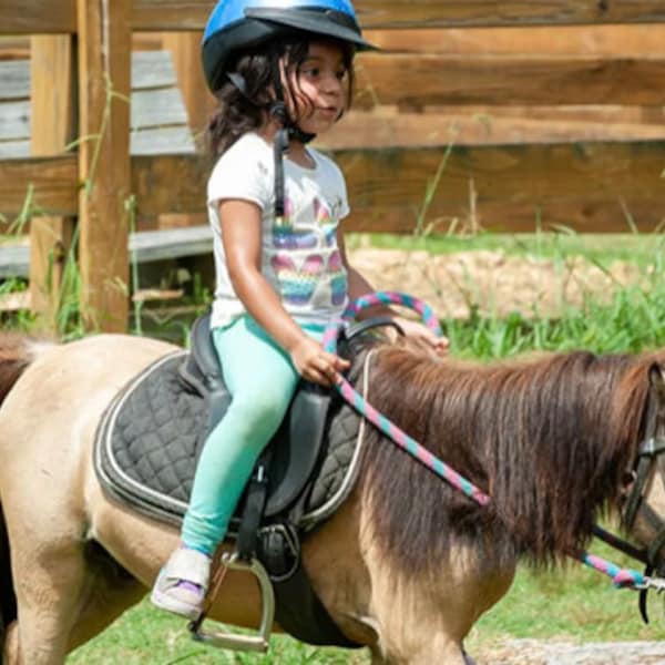 Easy Filler Activities For Horsey Summer Camp