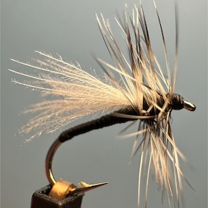 Può includere: Primo piano di un'esca da pesca a mosca secca. La mosca presenta un corpo nero, un amo dorato e delicate ali fatte di piume marroni chiare e bianche. La mosca è progettata per galleggiare sulla superficie dell'acqua, imitando un insetto.