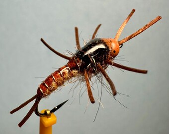 Jack-o-Lantern Stonefly Nymph for Fly Fishing and Ice Fishing Freshwater & Saltwater