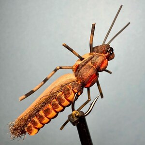 Può includere: Primo piano di una mosca da pesca fatta a mano. La mosca presenta un corpo segmentato nei toni dell'arancione e del marrone, con dettagli marrone scuro e una coda piumata. È montata su un amo nero, mostrando l'artigianato.
