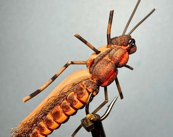 Salmon Fly / Stone Fly - Extended Body