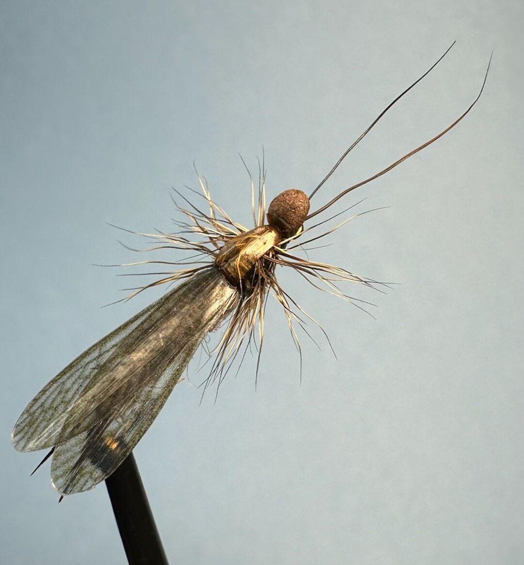 Stonefly (realistic) Fly Pattern for Fly Fishing - Freshwater - Etsy