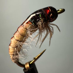 Caddis Nymph Fly Pattern for Fly Fishing and Ice Fishing