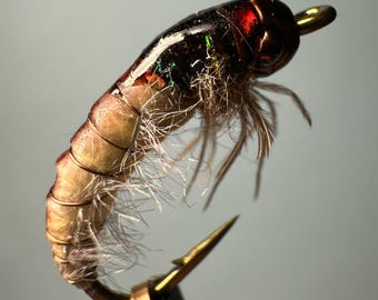 Caddis Nymph Fly Pattern for Fly Fishing and Ice Fishing