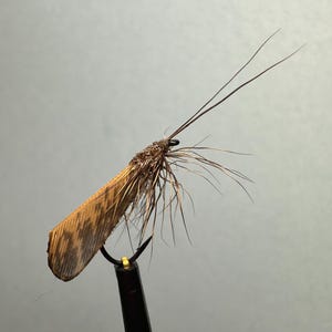 Può includere: Primo piano di una mosca da pesca fatta a mano. La mosca presenta un'ala marrone e beige, un amo scuro e fibre sottili simili a capelli. La mosca è progettata per imitare un insetto, con antenne lunghe e sottili.