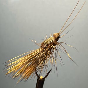 Vincent’s Stonefly