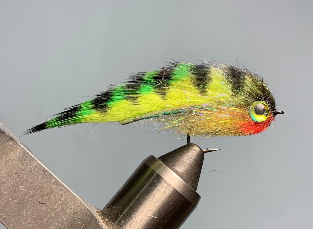 Peacock Bass - Streamer Fly Pattern for Fly Fishing Freshwater ...