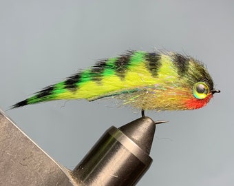 Peacock Bass - Streamer Fly Pattern for Fly Fishing Freshwater & Saltwater