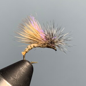 Front Loader Caddis