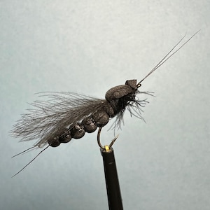Tiny Black Winter Stone Fly - Extended Body