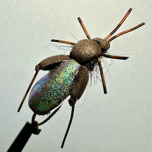Vincent&#39;s Beetle