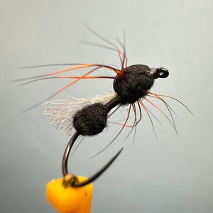 Vincent&#39;s Ant
