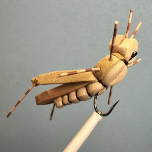 May include: A detailed close-up of a grasshopper fishing lure. The lure is made of tan and brown foam, with thin, striped antennae and legs. A black hook extends from the bottom, held by a white handle. The background is a solid light blue.