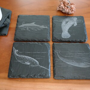 Engraved Slate Coasters - Set of 4 - Ocean Marine Life - Narwhal - Dolphin - Manatee - Blue Whale