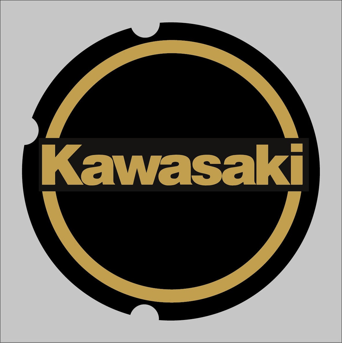 Kawasaki Robotics | Repstronics