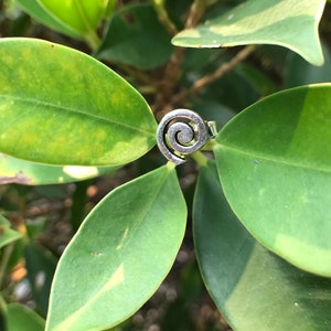 Perfekta spiralörhängen Silver 925 - TSE003