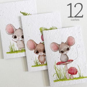 Cartes à planter sans texte, lot de 12. Lot de 12 Cartes écoresponsables fabriquées à partir de papier ensemencé