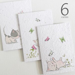 Lot de 6 cartes à planter sans texte. Lot de 6 belles cartes écoresponsables fabriquées à partir de papier ensemencé. Chatons