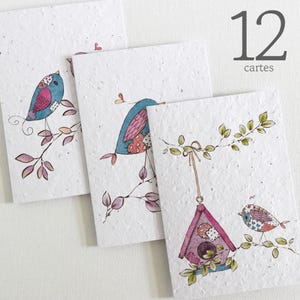 Cartes à planter sans texte, lot de 12. Lot de 12 Cartes écoresponsables fabriquées à partir de papier ensemencé