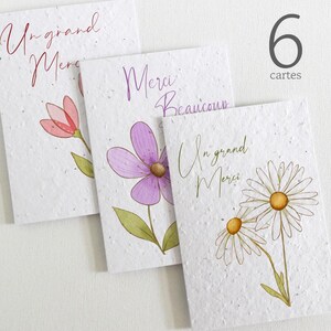 Lot de 6 cartes à planter remerciements. Cartes Merci qui se transforment en joli bouquet de fleurs. Cartes merci Maîtresse, Nounou, ATSEM