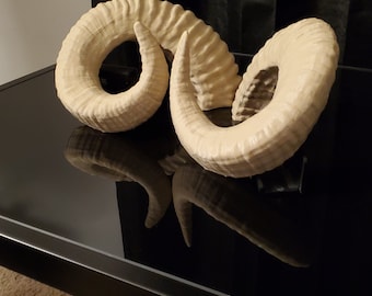 Rams Horns (Pair) Multiple Sizes