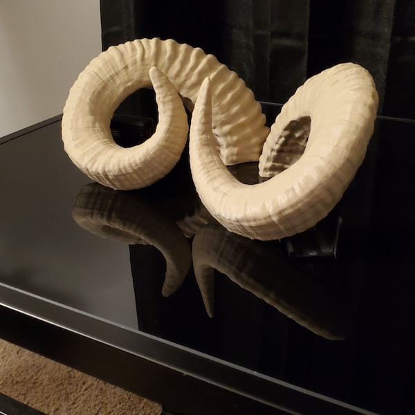 Rams Horns (Pair) Multiple Sizes