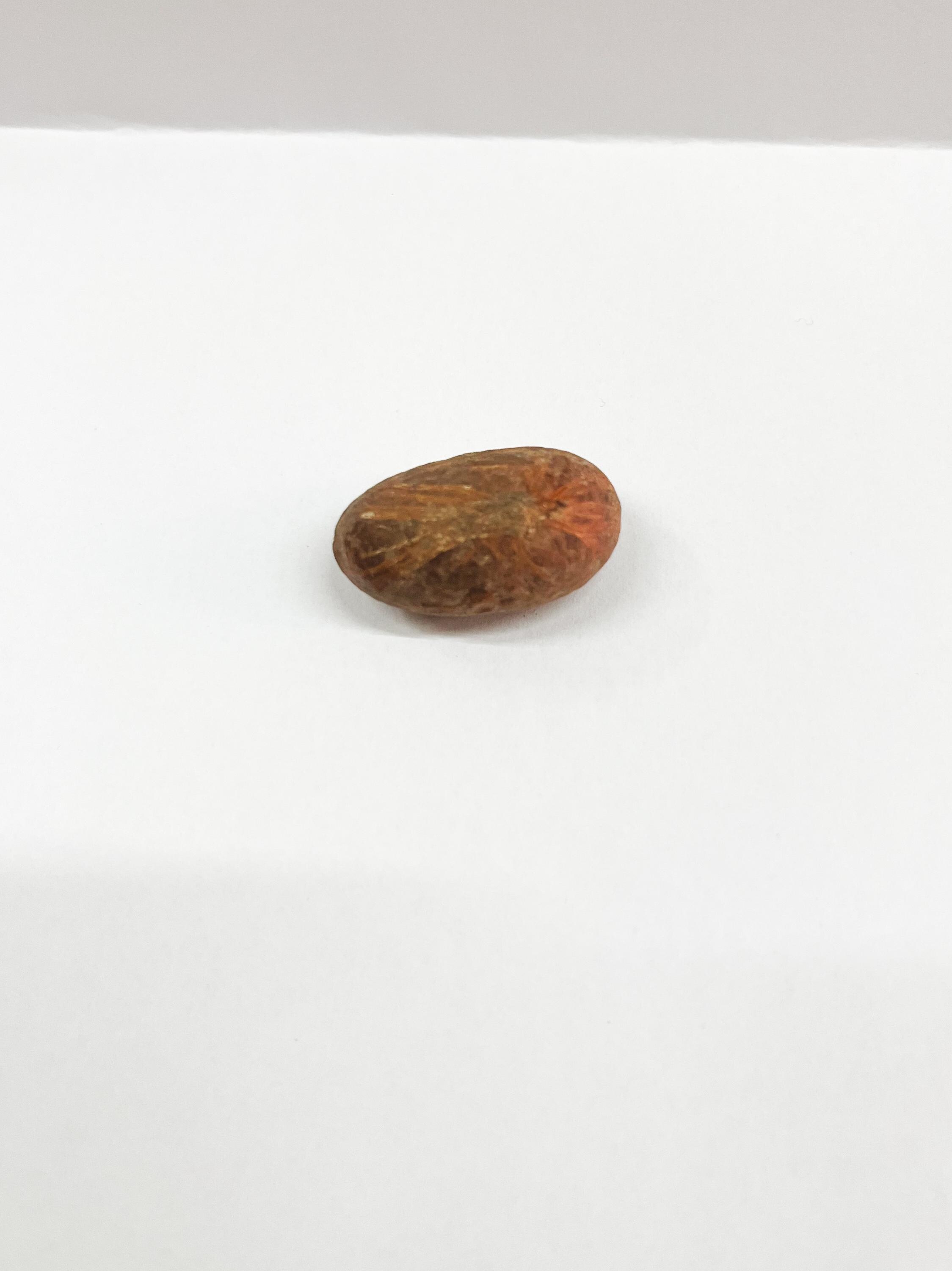 Petit Cola Vitality African Tradition Organic Gluten Free