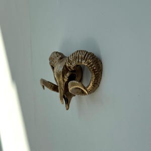 Ram Skull Drawer Pull, Modern Cabinet Knob, Resin Knob
