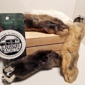 Lucky Rabbits Foot