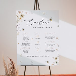 Cartel de cumpleaños de hito de abeja editable, hito de primer cumpleaños de abeja, plantilla de póster de pizarra, tablero de estadísticas de 1er cumpleaños, primer día de abeja