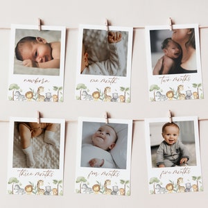 Bearbeitbare Safari Monatliche Foto Banner Wild One Monatsfotos Baby Erstes Jahr Foto Dschungel Tiere 1. Geburtstag Dekor Druckbare Foto Banner