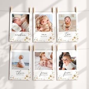 May include: A set of six white photo cards with floral designs and black text. Each card features a baby at different ages, from newborn to five months. The text on the cards reads "newborn", "one month", "two months", "three months", "four months", and "five months".