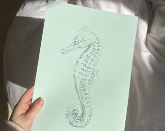 Seahorse | A4 art print