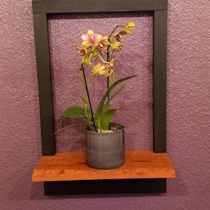 Könnte beinhalten: Dekoratives Wandregal mit schwarzem Rahmen und einem Regal aus Naturholz. Eine Topf-Orchidee mit gelben und rosa Blüten steht auf dem Regal. Das Regal ist an einer strukturierten, lila Wand befestigt.
