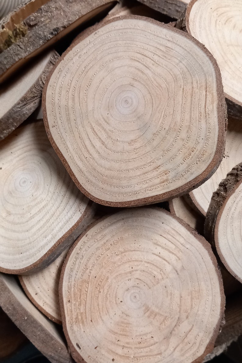 250 St. weit über 2qm Baumscheiben Naturholzscheiben, Holzfliesen in verschiedenen Größen Farben und Formen für Wand oder Deckenverkleidung Bild 3