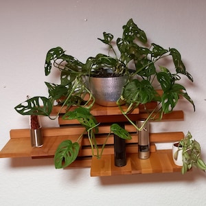 May include: A wooden wall shelf with a layered design, featuring a potted plant with large green leaves, a small potted plant, and two silver spice grinders.