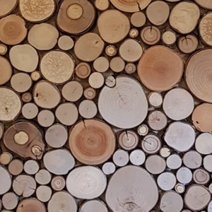250 St. weit über 2qm Baumscheiben Naturholzscheiben, Holzfliesen in verschiedenen Größen Farben und Formen für Wand oder Deckenverkleidung Bild 6