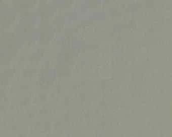 Michael Miller Cotton Couture Solids-Earth- SC5333-EART-D -Fabric by the Yard