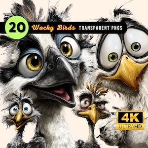 Crazy Chicken Clipart PNG – Fluffy Cute Bird, Sassy Silly Caricatured Animal, Wacky Outlandish Animals, Animated Pet Design, Quirky Cartoon