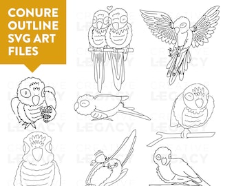 Conure Outlined Digital Art Files - 8 SVG & PNG Bundle - Green Cheek Conure - Sun Conure - Bird Art - Birb - Birb Art