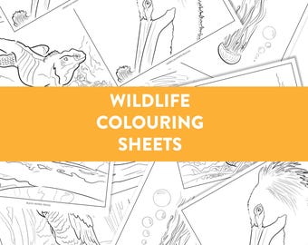 Wildlife Printable Colouring Pages - Set of 5 Animal Designs for Kids & Adults