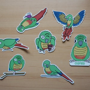 Autocollants de conure de joue verte à côtés jaunes - autocollants en vinyle stupide de conure - conure de joue verte - art de perroquet - art de conure - autocollants d'oiseau