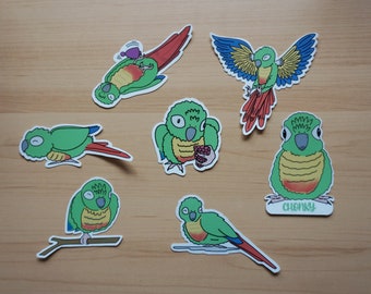Silly Green Cheek Conure Stickers – Parrot Lover Gift
