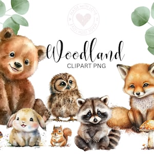 Woodland Animals PNG, Clip Art, Woodland Animals Oso Acuarela Fox Sublimation Design, Deer, Baby Shower Design, First Birthday, Digital Download