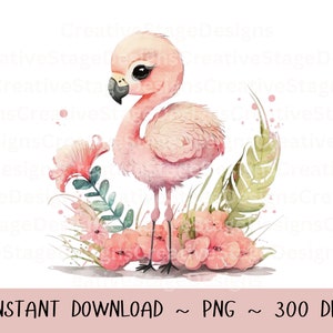 Lindos archivos Png de flamencos para sublimación | Falcono acuarela azul| archivos png para vaso | Flamenco Png | Acuarela animal png | archivo png