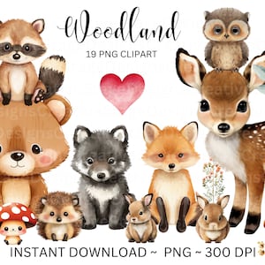 Peut inclure: Un ensemble de 19 images clipart numériques représentant des animaux de la forêt, notamment un raton laveur, un ours, un loup, un renard, un cerf, un hibou, un hérisson et des lapins. Les images sont dans un style aquarelle et sont parfaites pour les projets d'artisanat, le scrapbooking et la conception numérique.
