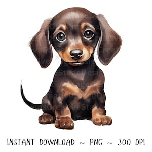 Dackel PNG, Hund Clip Art, Dackel  Aquarell  Sublimation Design, Baby Shower Design, Erster Geburtstag, digitaler Download  png